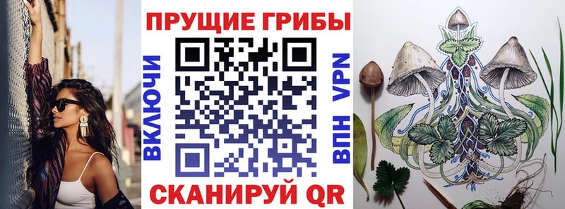 KRAKEN сайт  Бутурлиновка  Галлюциногенные грибы Magic Shrooms 